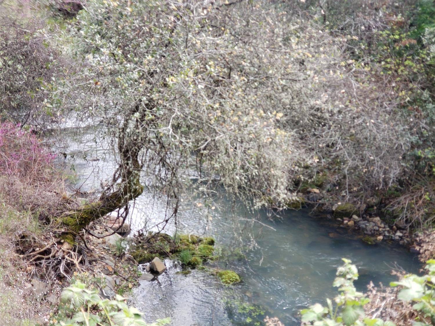 0 Eagle Nest Way Oregon House, CA 95962 - Thumbnail 3