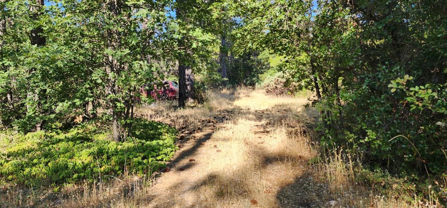 8671 La Porte Rd Brownsville, CA 95919 - Thumbnail 3