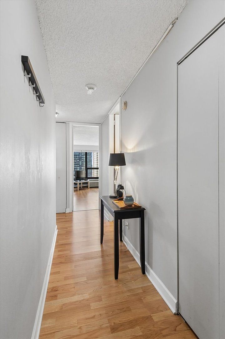 30 E Huron St APT 2204 Chicago, IL 60611 - Thumbnail 3