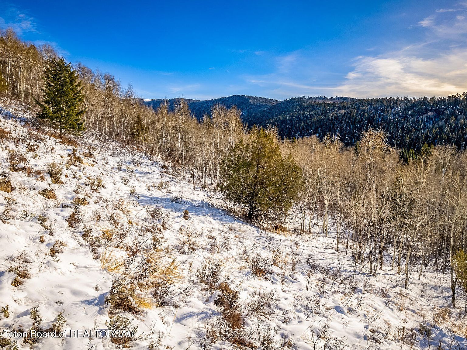 3040 Canyon Crest Dr Victor, ID 83455 - Thumbnail 3