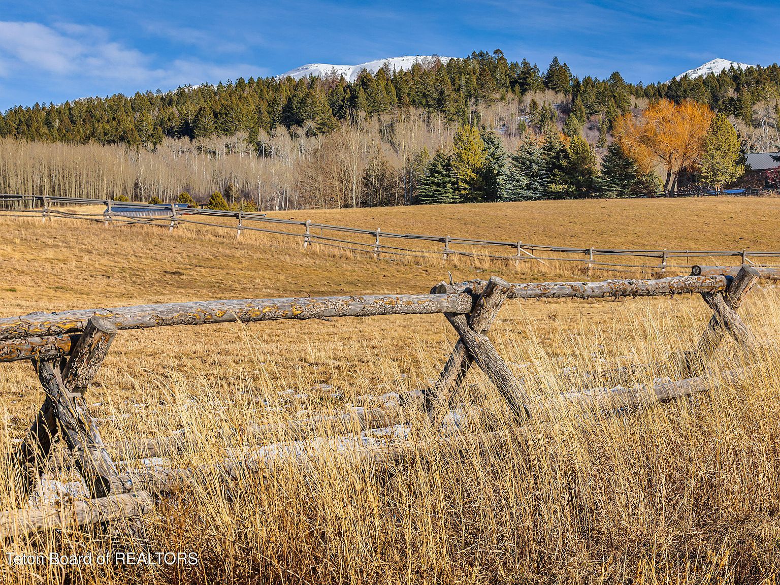 125 Yellow Rose Dr Alta, WY 83414 - Thumbnail 3