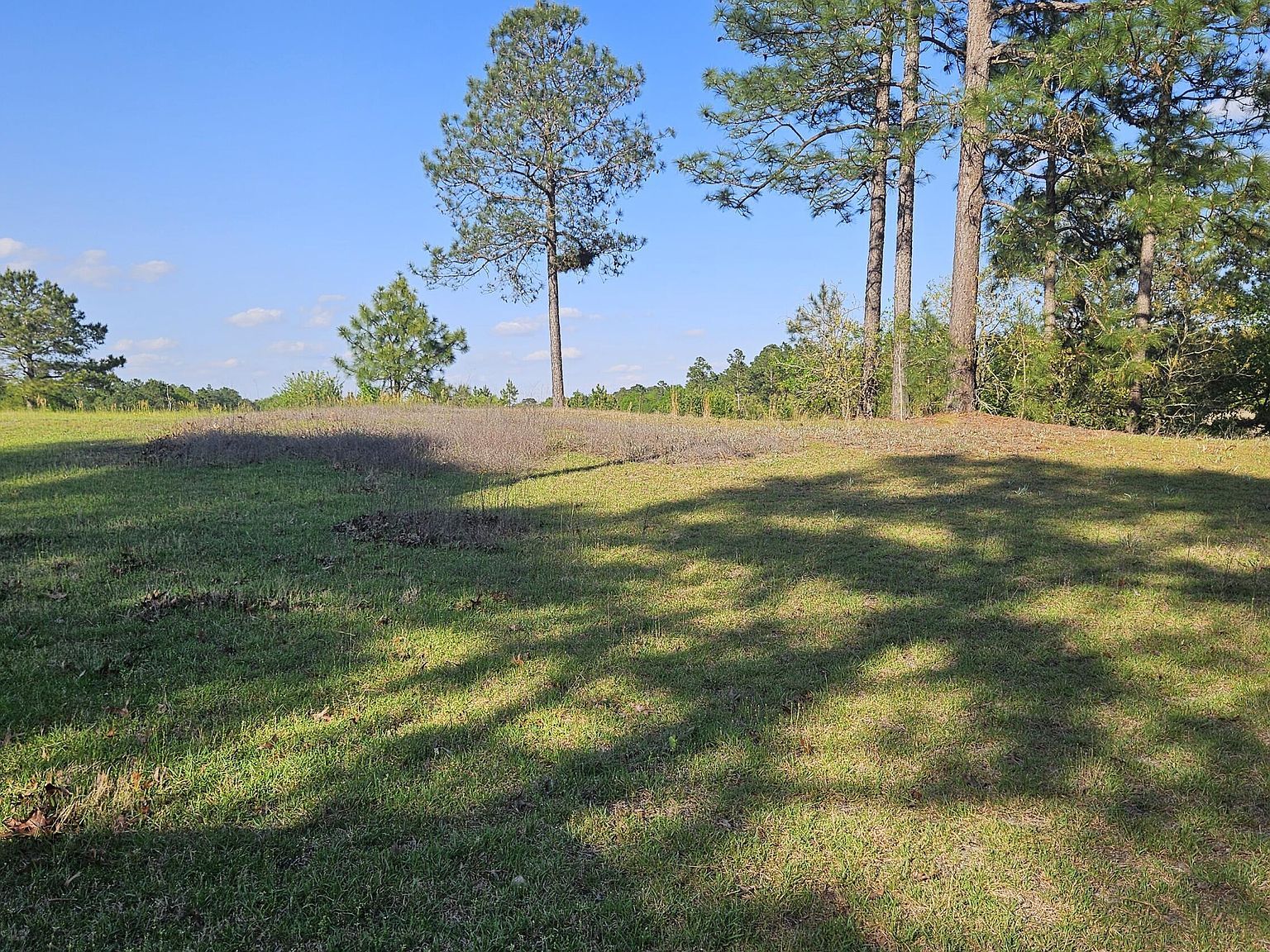 1 Old Tom Morris Rd Garland, NC 28441 - Thumbnail 3