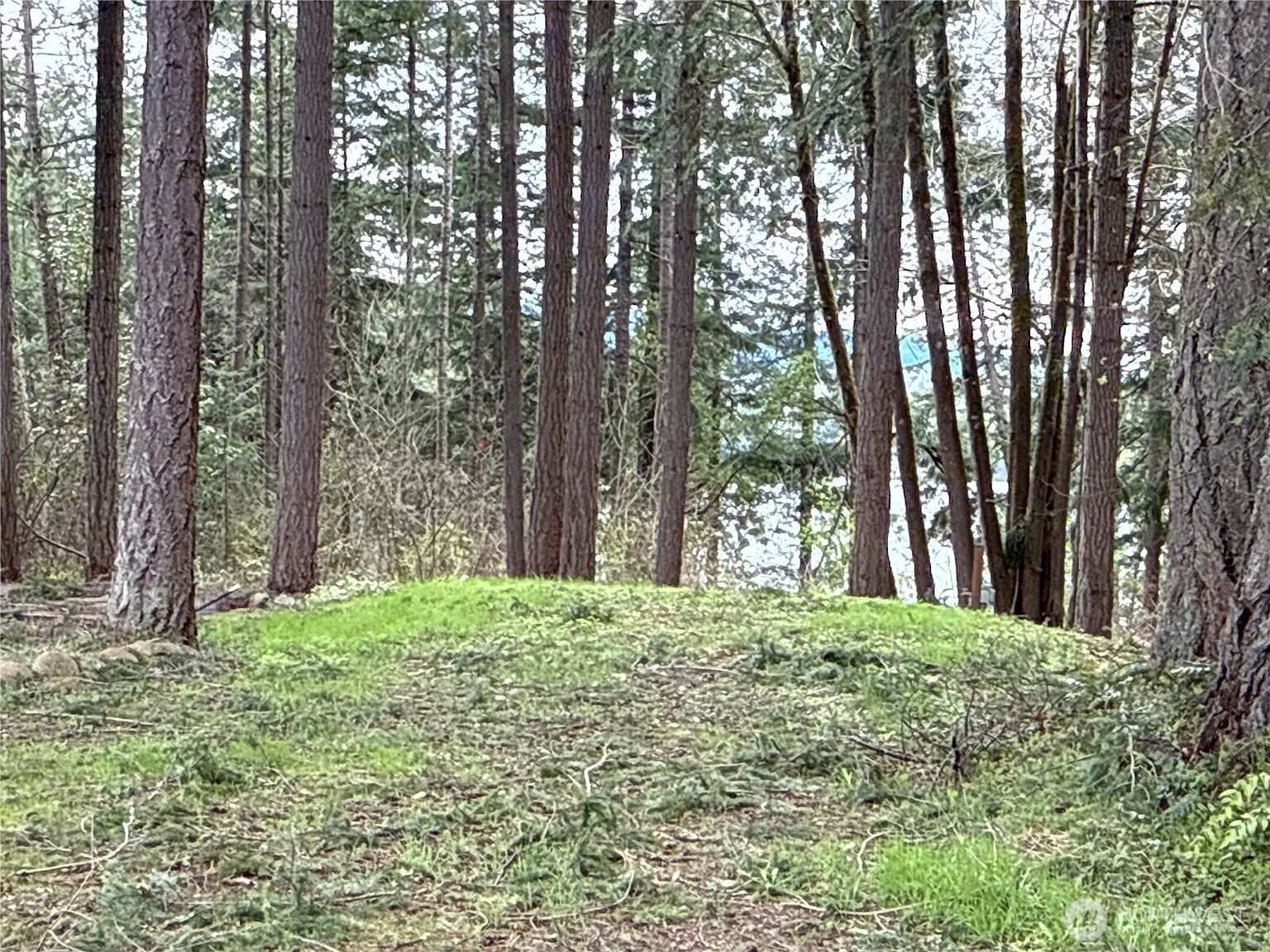 18243 Suncrest Ct SE Yelm, WA 98597 - Thumbnail 3