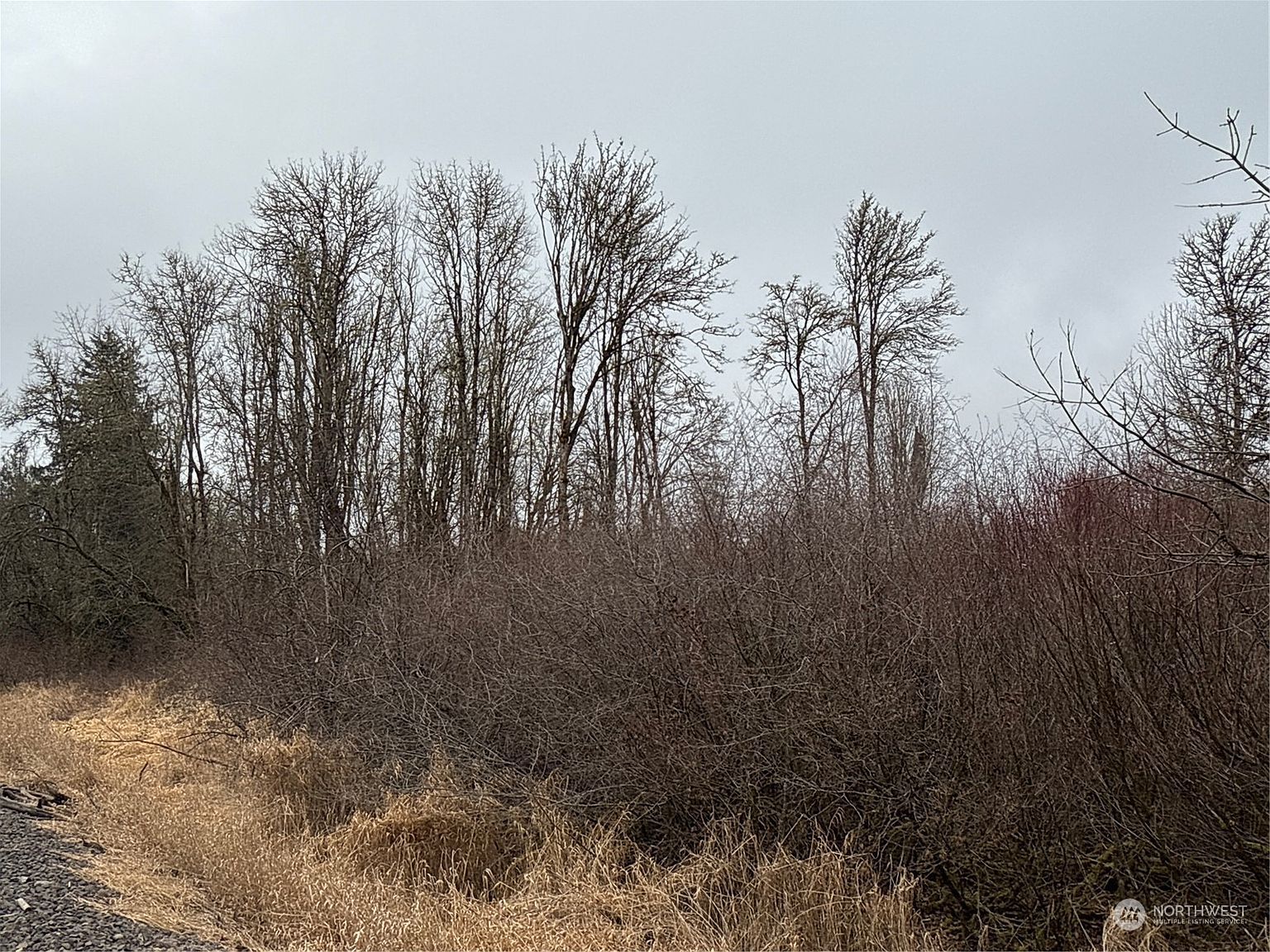 24 Xx Howard Ave Centralia, WA 98531 - Thumbnail 3