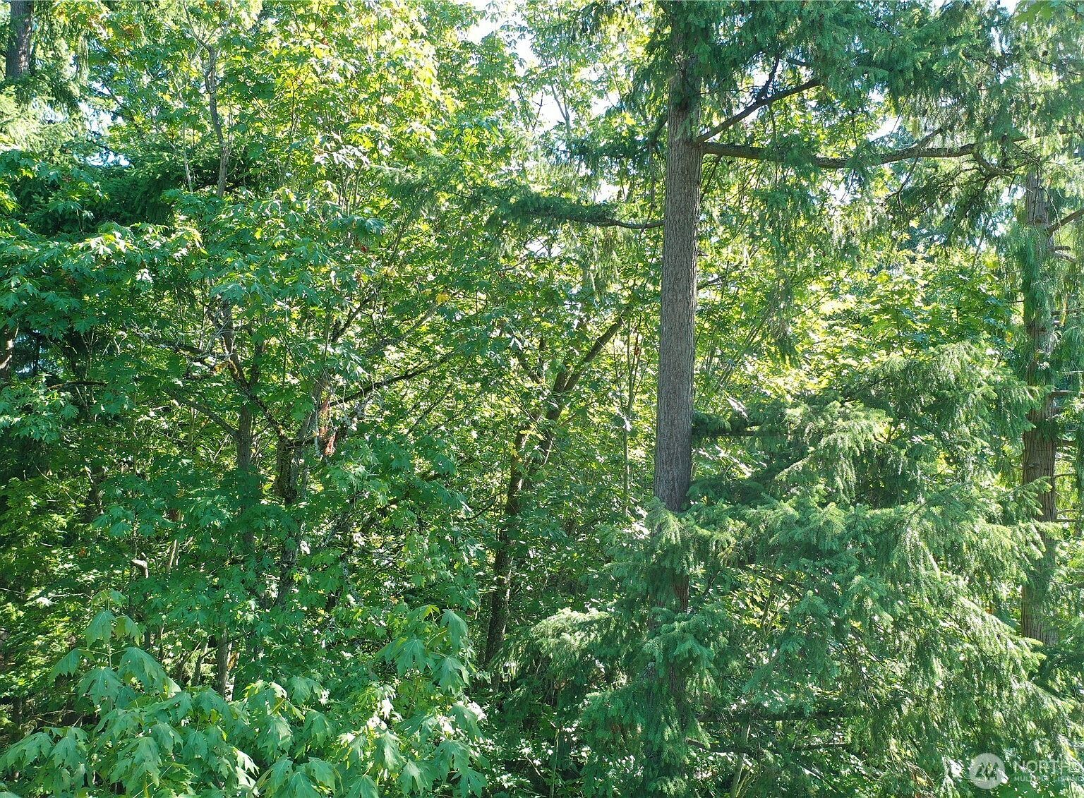 9458 SE 47th St Mercer Island, WA 98040 - Thumbnail 3