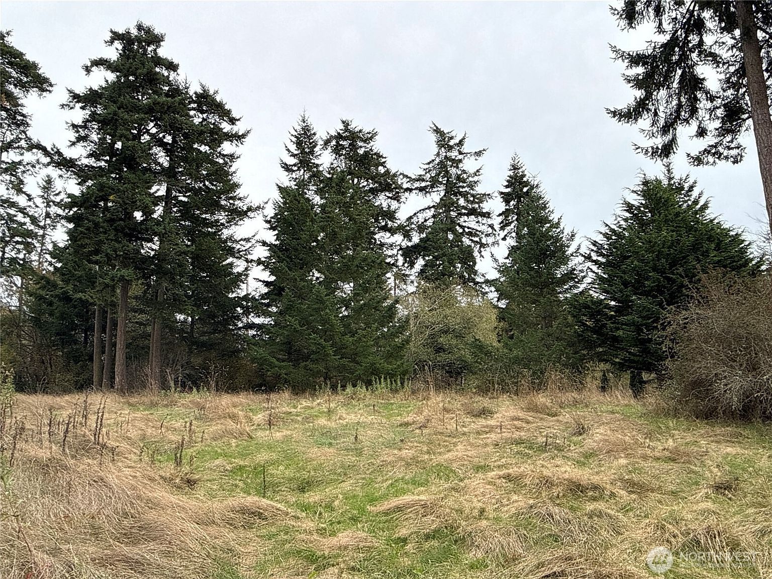 29922 State Route 525 Coupeville, WA 98239 - Thumbnail 3