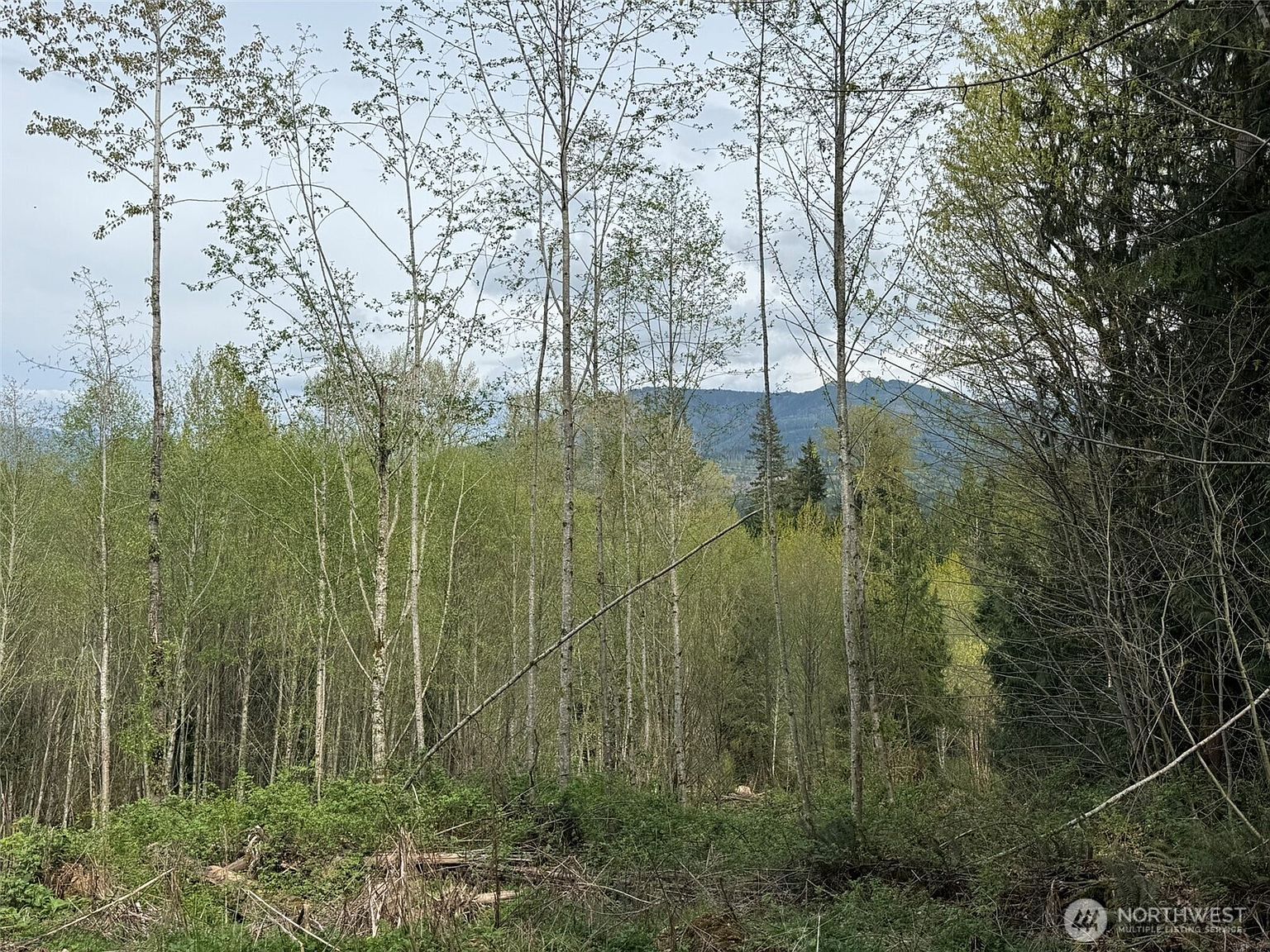 33115 37th Ave NE Arlington, WA 98223 - Thumbnail 3