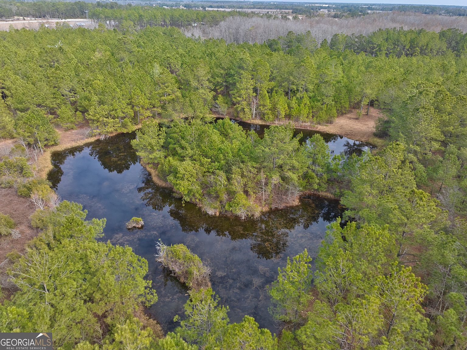 2940 Mud Swamp Rd Valdosta, GA 31601 - Thumbnail 3