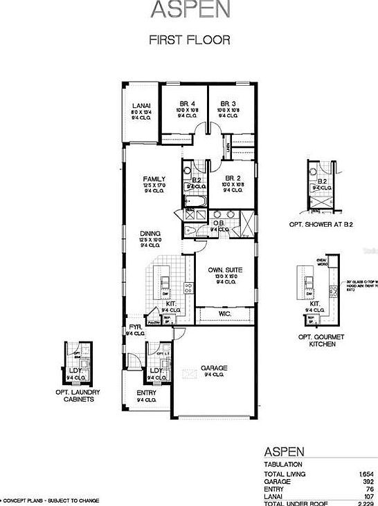 2245 Juniper Berry Dr Minneola, FL 34715  | Single Family