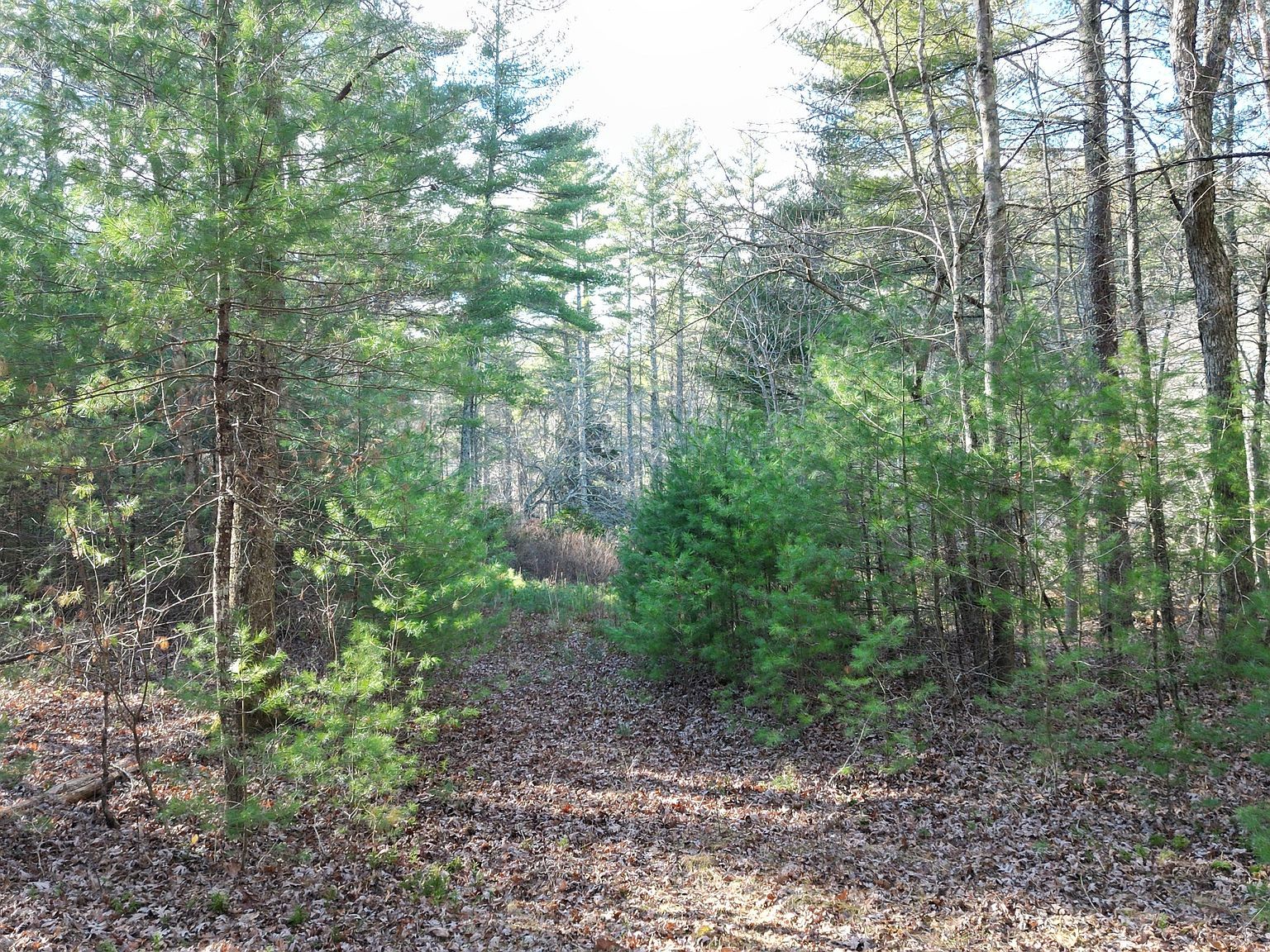 81 Deerfield Dr Sterling, CT 06377 - Thumbnail 3