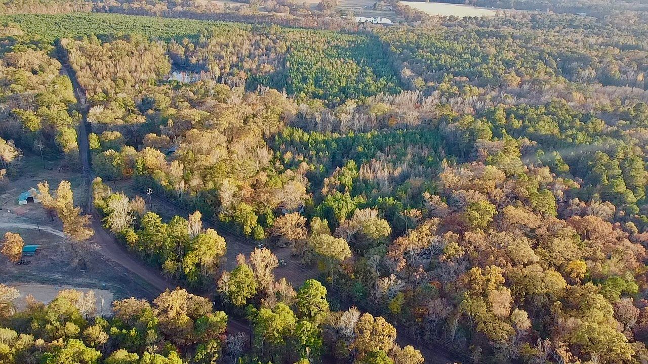 Cactus Rd Pittsburg, TX 75686 - Thumbnail 3