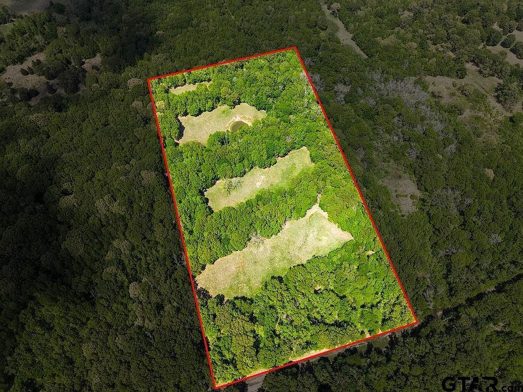 Vz County Road 4505 Ben Wheeler, TX 75754 - Thumbnail 3