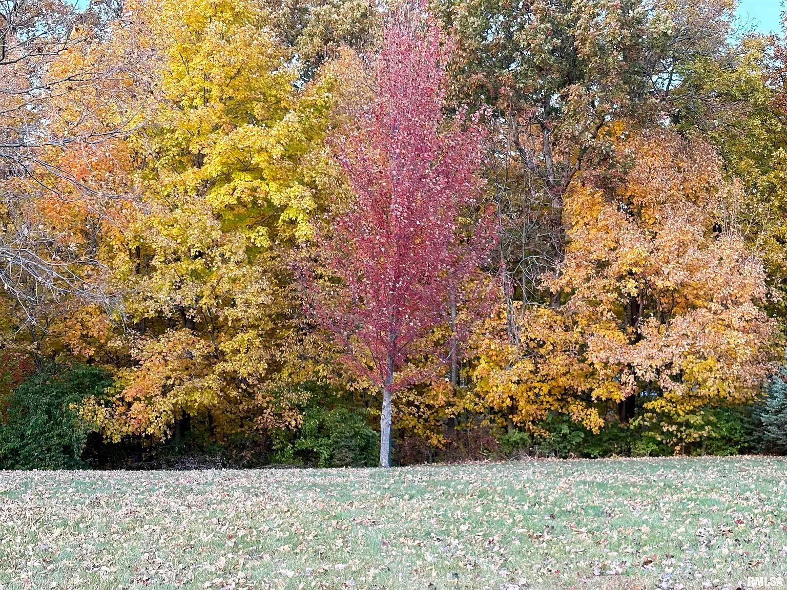 43 Lynnwood Ct Morton, IL 61550 - Thumbnail 3