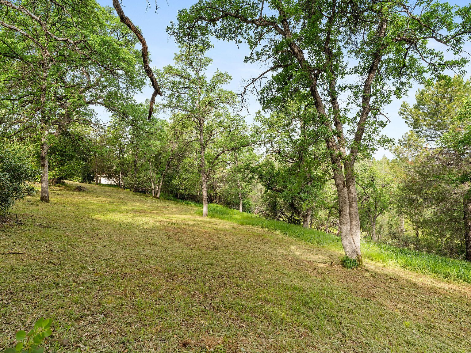 866 Pioneer Dr Redding, CA 96001 - Thumbnail 3