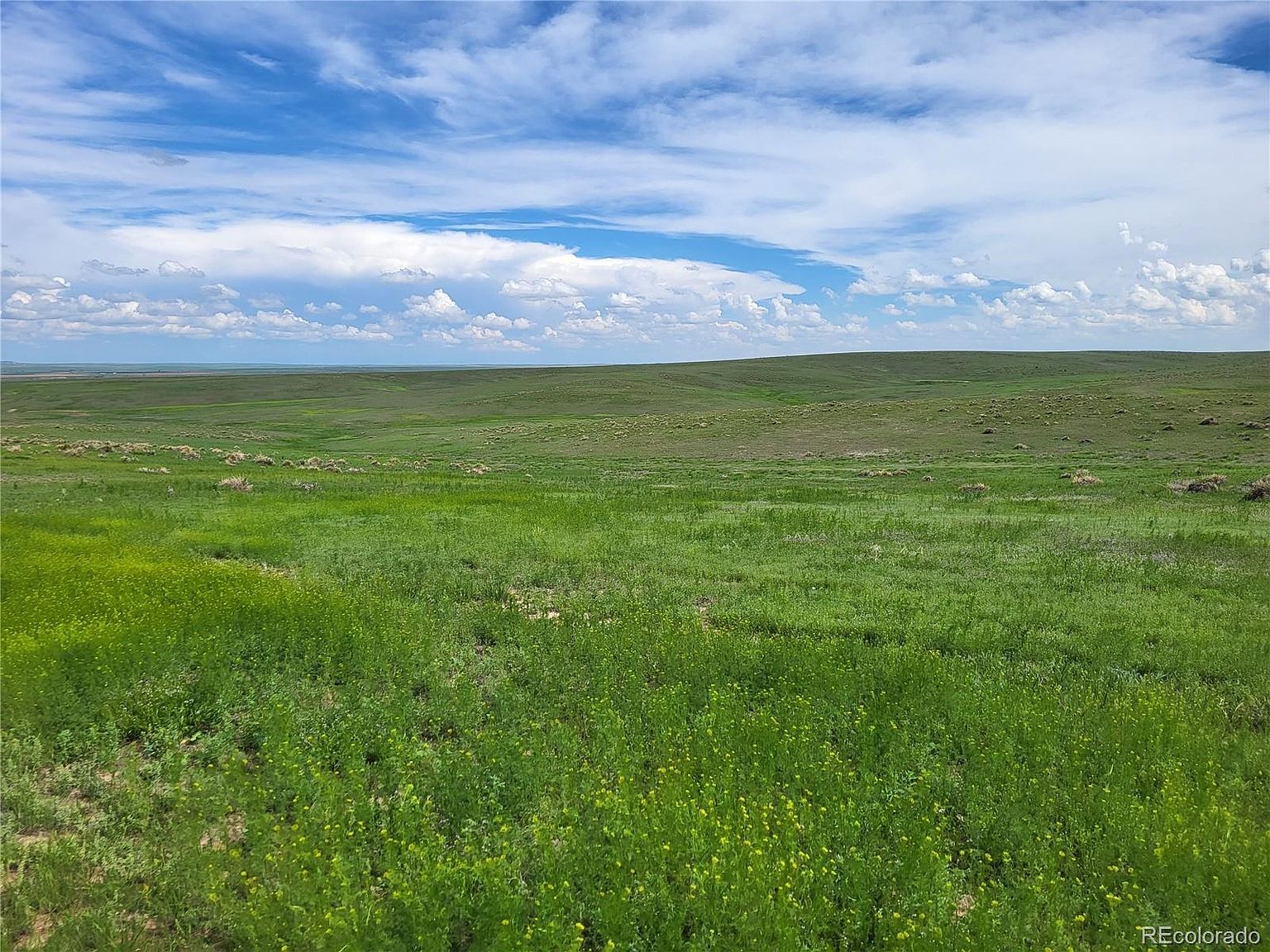 County Road 160 PARCEL 6-7-8 Agate, CO 80101 - Thumbnail 3