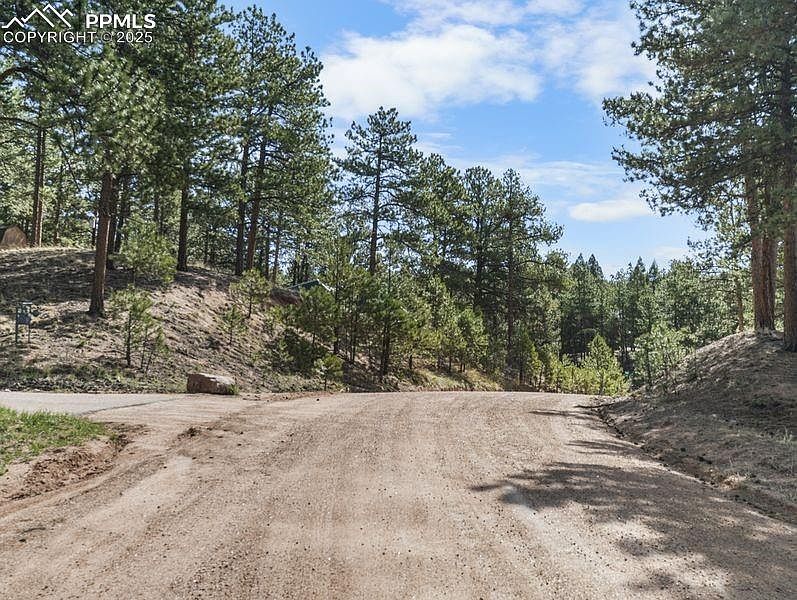 156 E Ridge Dr Woodland Park, CO 80863 - Thumbnail 3