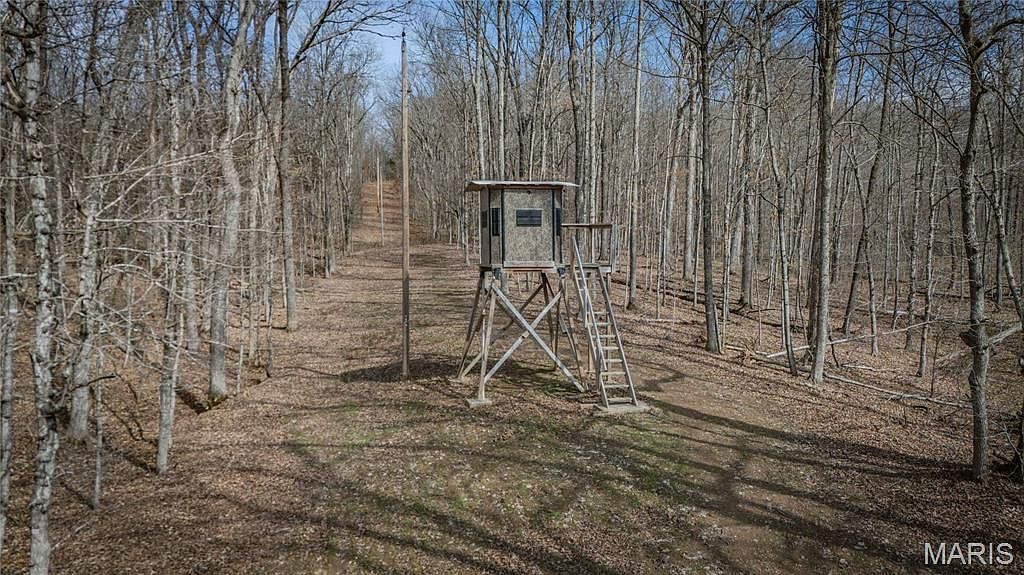 2783 Watson Rd Park Hills, MO 63601 - Thumbnail 3