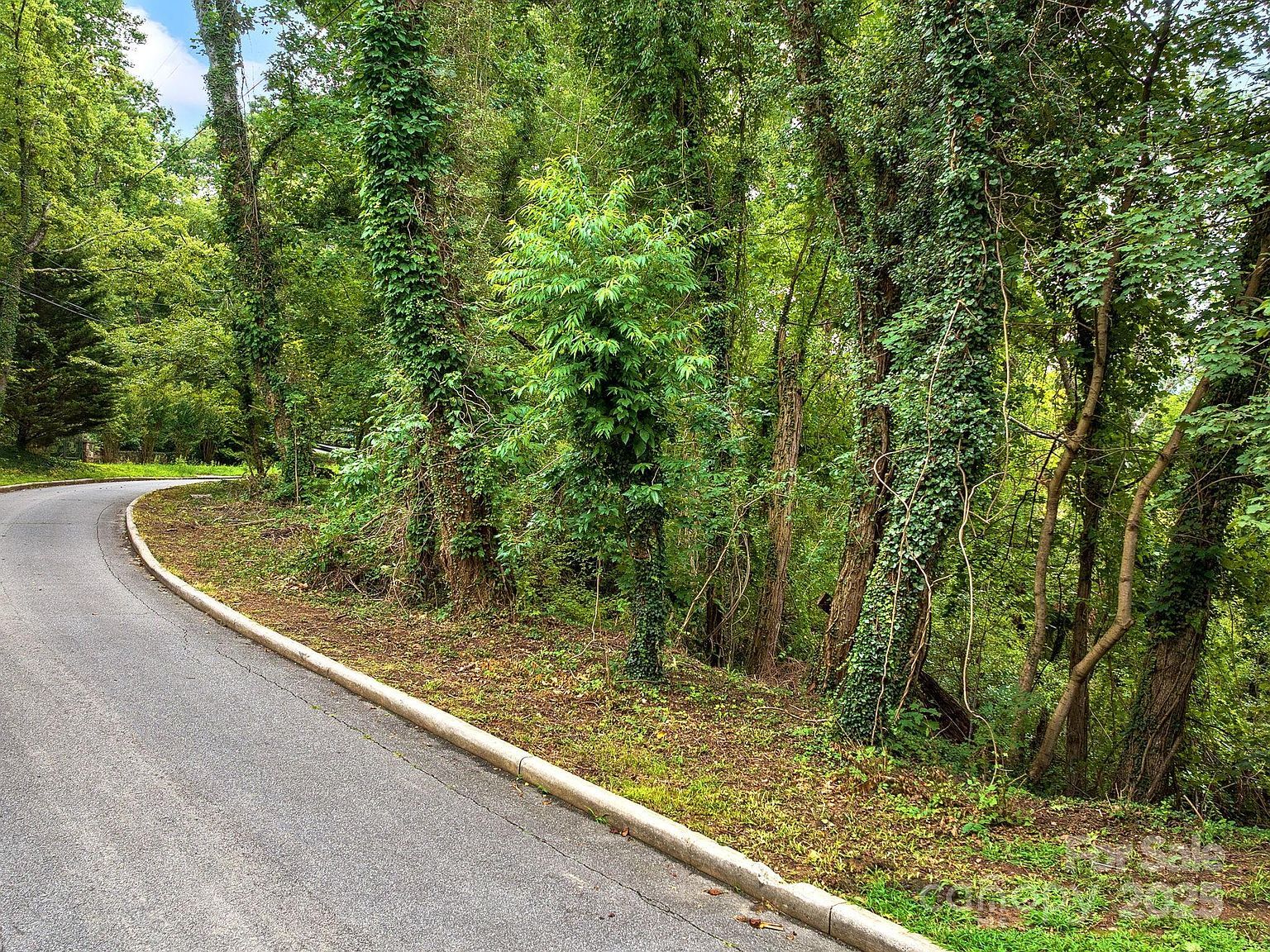 99999 Windsor Rd Asheville, NC 28804 - Thumbnail 3