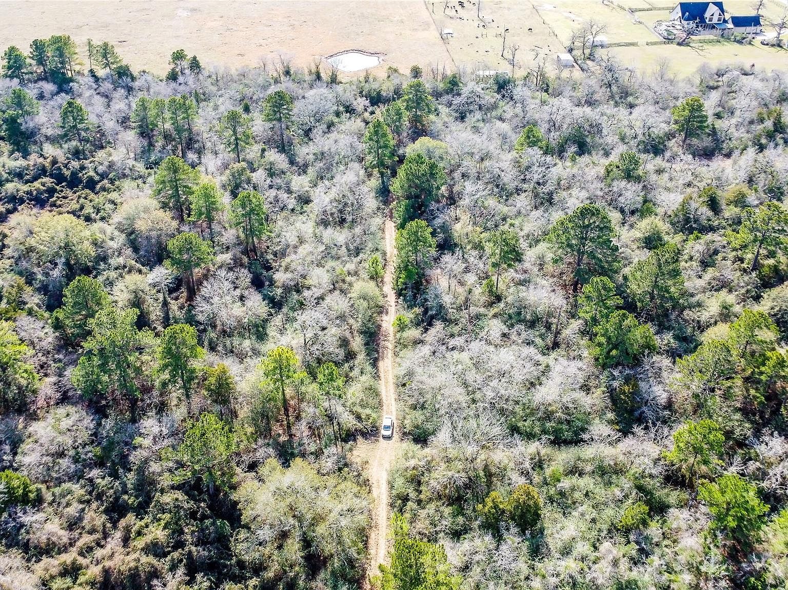 17625 Falcon Ln Hempstead, TX 77445 - Thumbnail 3