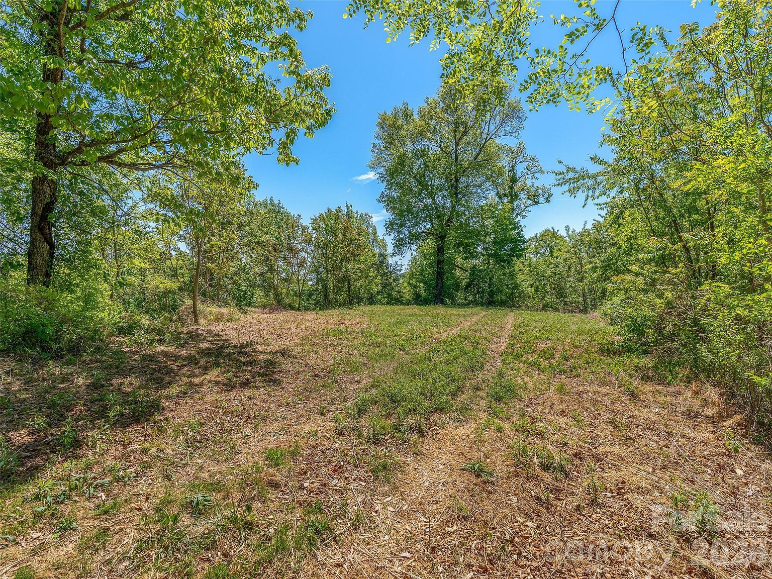 488 Warbler Ln Lot H-13 Black Mountain, NC 28711 - Thumbnail 3