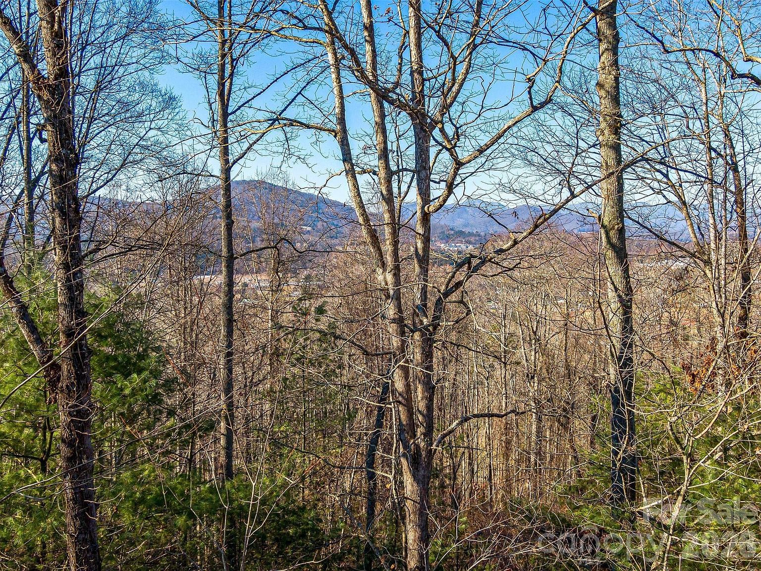 92 Chimney Crest Dr Asheville, NC 28806 - Thumbnail 3