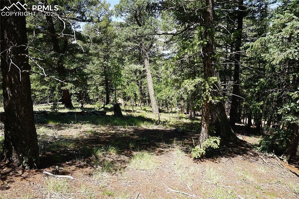 1000 Bennett Dr Cripple Creek, CO 80813 - Thumbnail 3