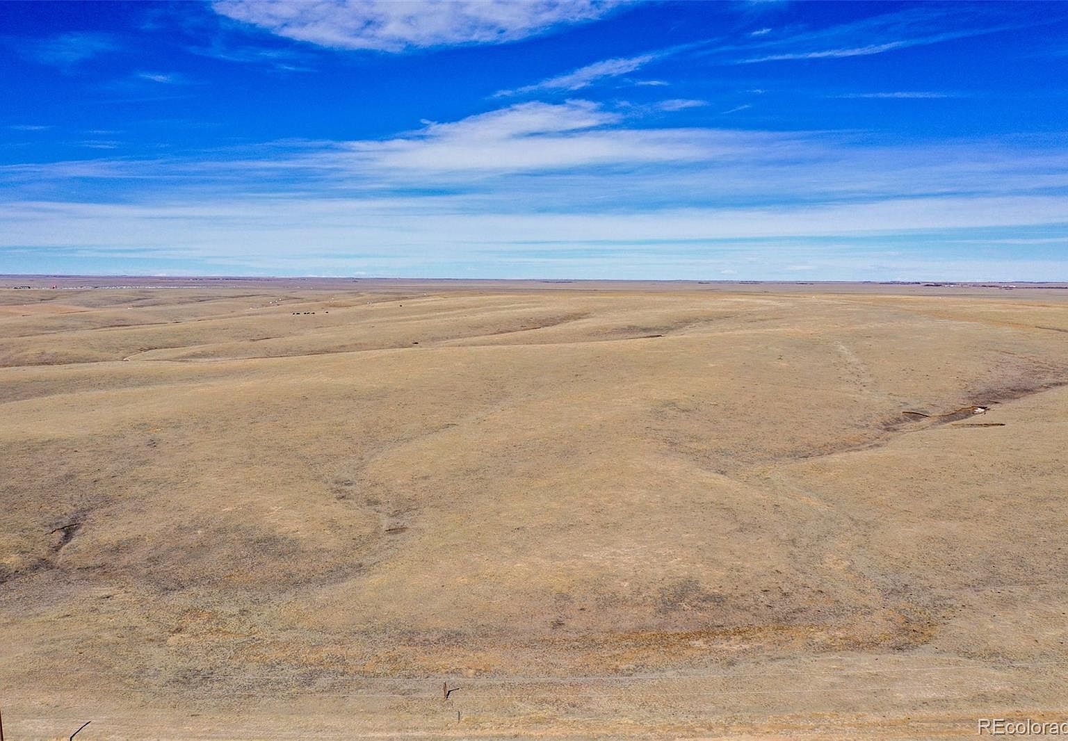 Unknown Rush, CO 80833 - Thumbnail 3