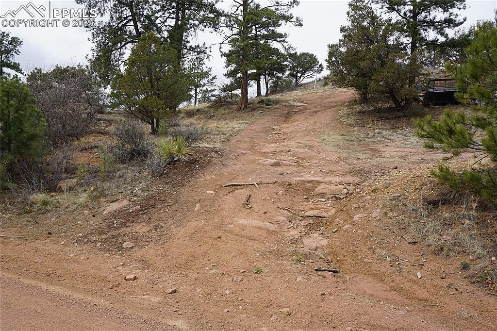 1893 Arapahoe Dr Florissant, CO 80816 - Thumbnail 3