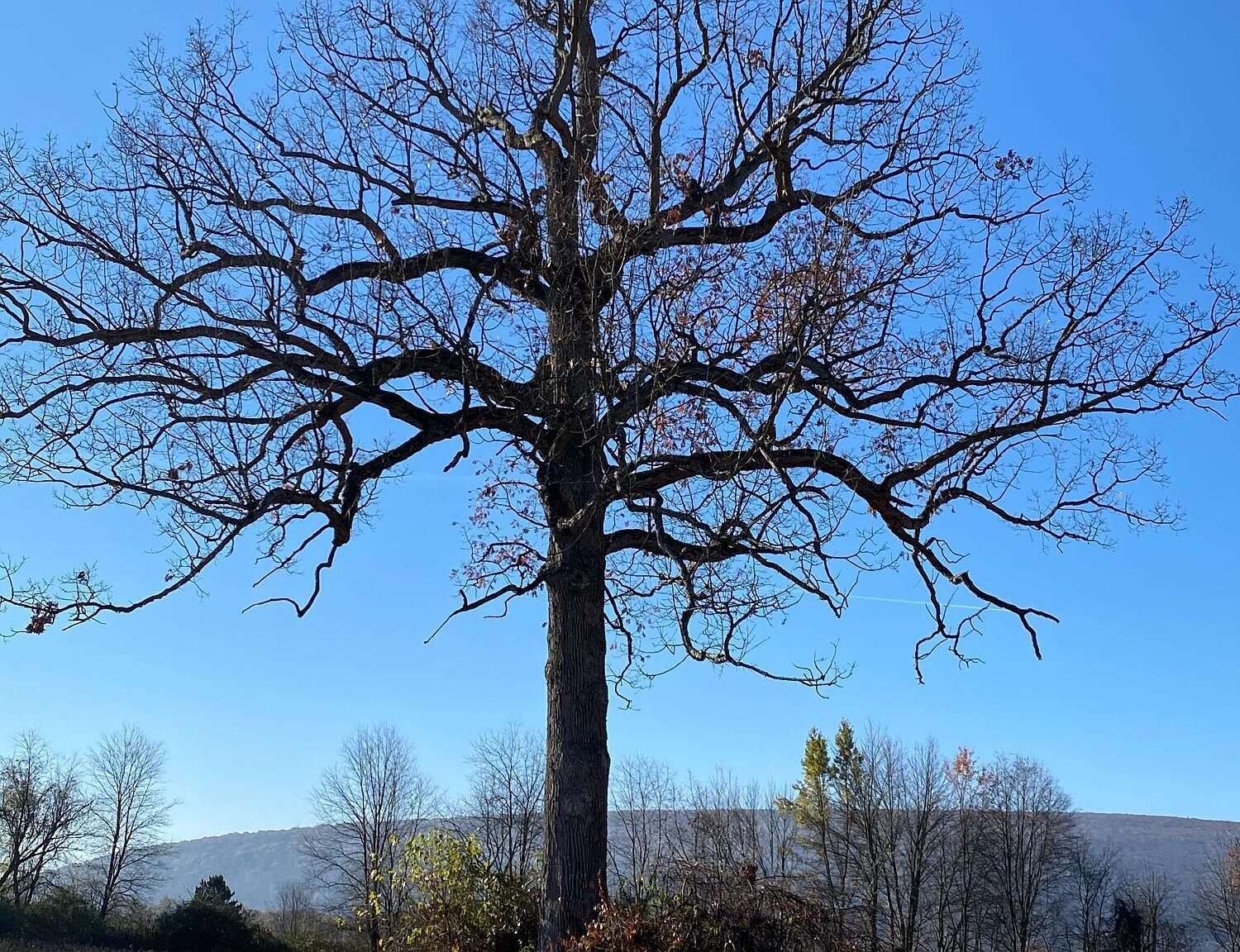 Parc 199g Pond Rd #26 Muncy, PA 17756 - Thumbnail 3