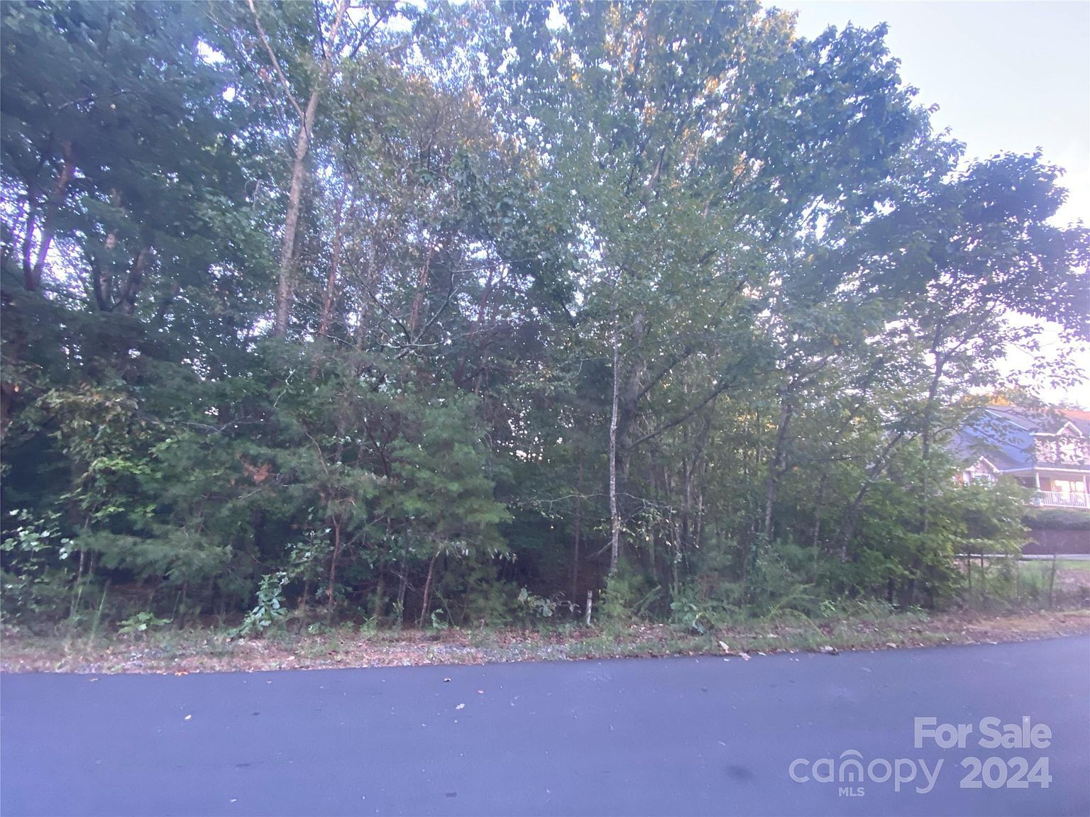 1301 Shadowfax Wynd #51 Hickory, NC 28602 - Thumbnail 3