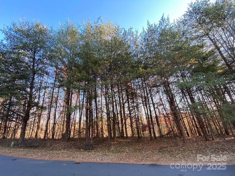 1420 Windemere Ln Hickory, NC 28602 - Thumbnail 3