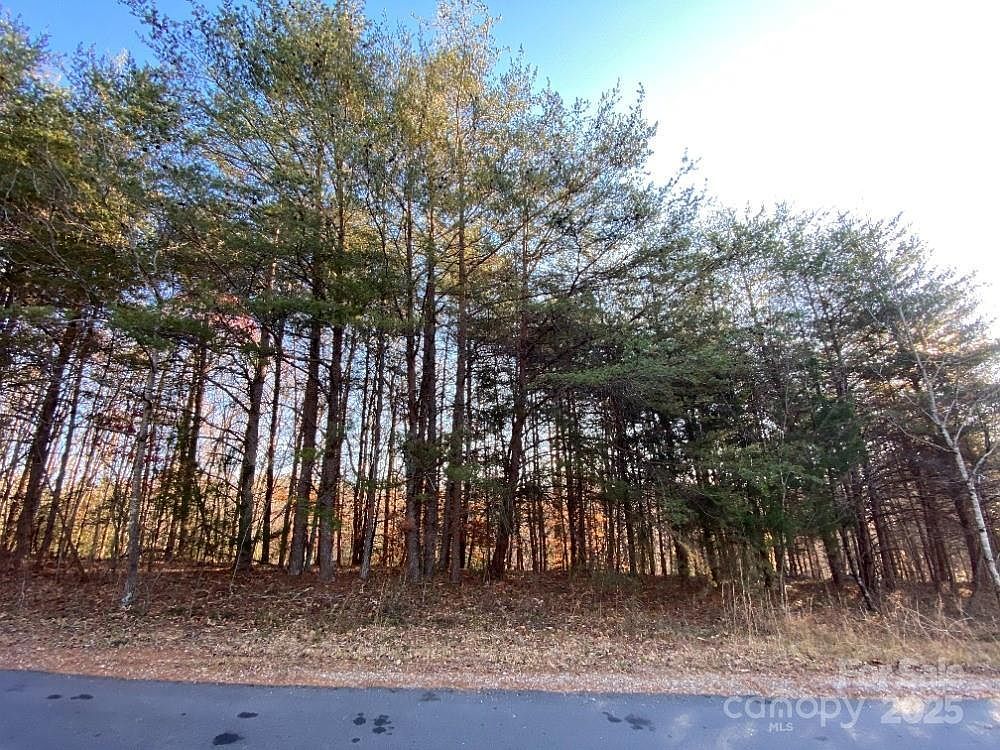 1438 Windemere Ln Hickory, NC 28602 - Thumbnail 3