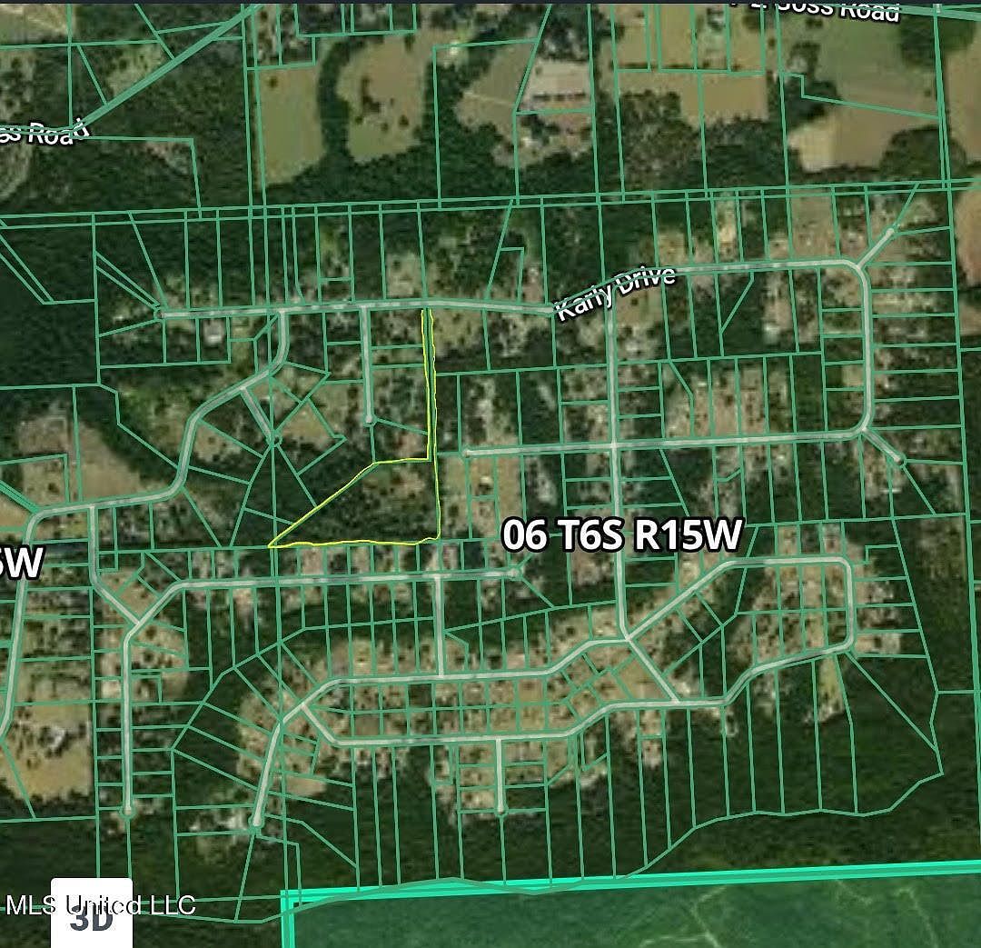 25215 Karly Dr Picayune, MS 39466 - Thumbnail 3