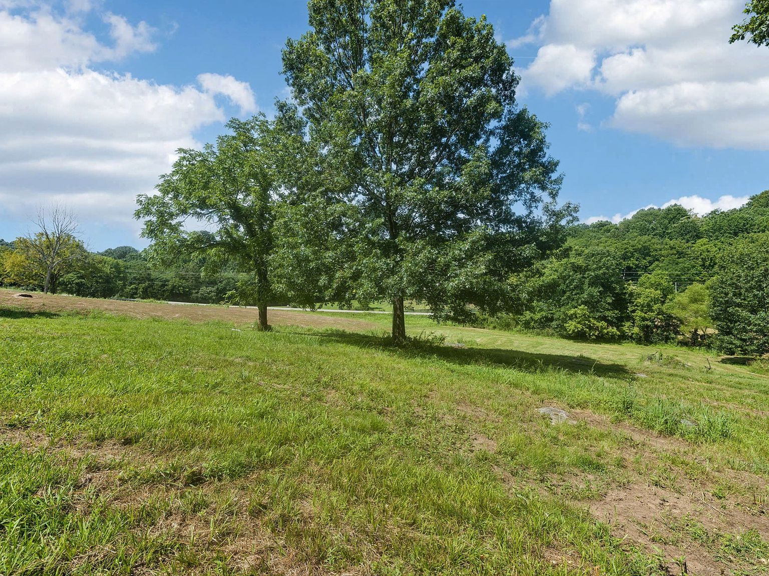 6456 Arno College Grove Rd College Grove, TN 37046 - Thumbnail 3