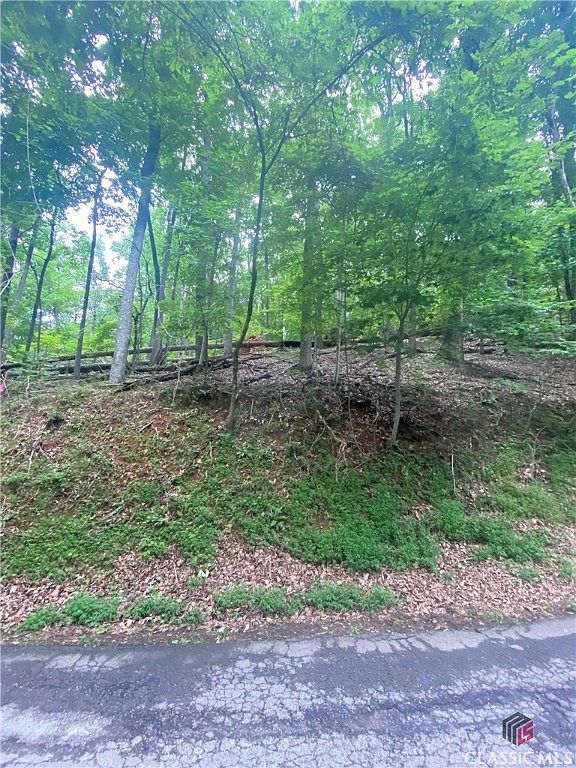 0 Skyview Dr Ellijay, GA 30536 - Thumbnail 3