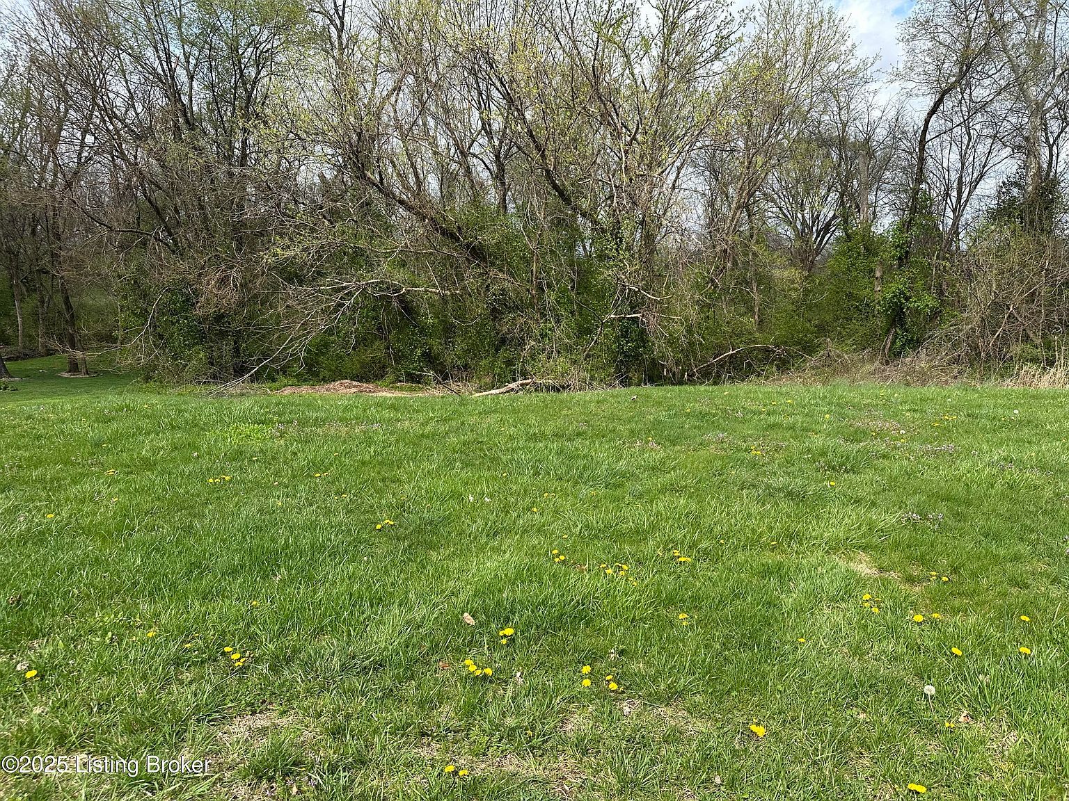 914 Woods Run Rd Bardstown, KY 40004 - Thumbnail 3