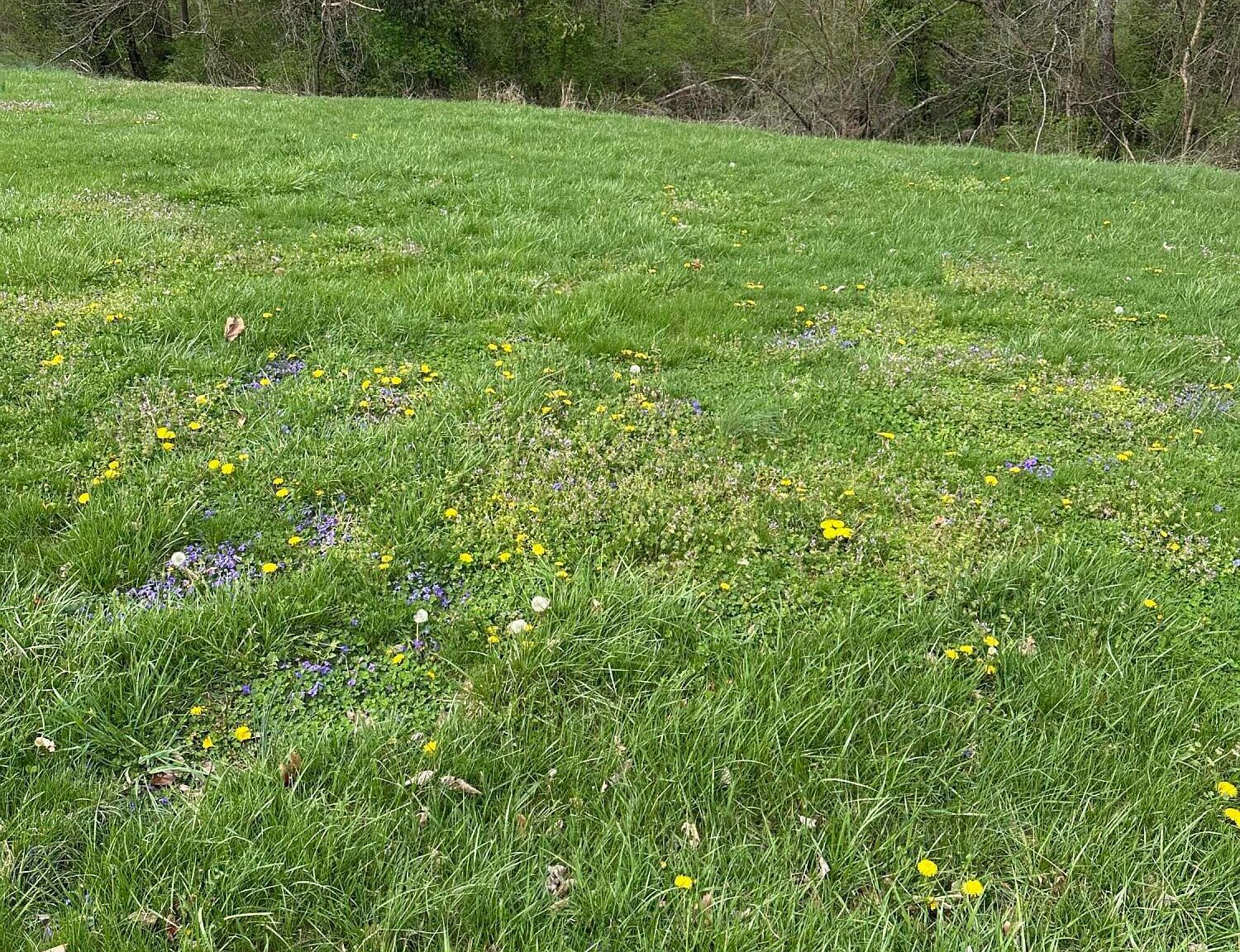 916 Woods Run Rd Bardstown, KY 40004 - Thumbnail 3