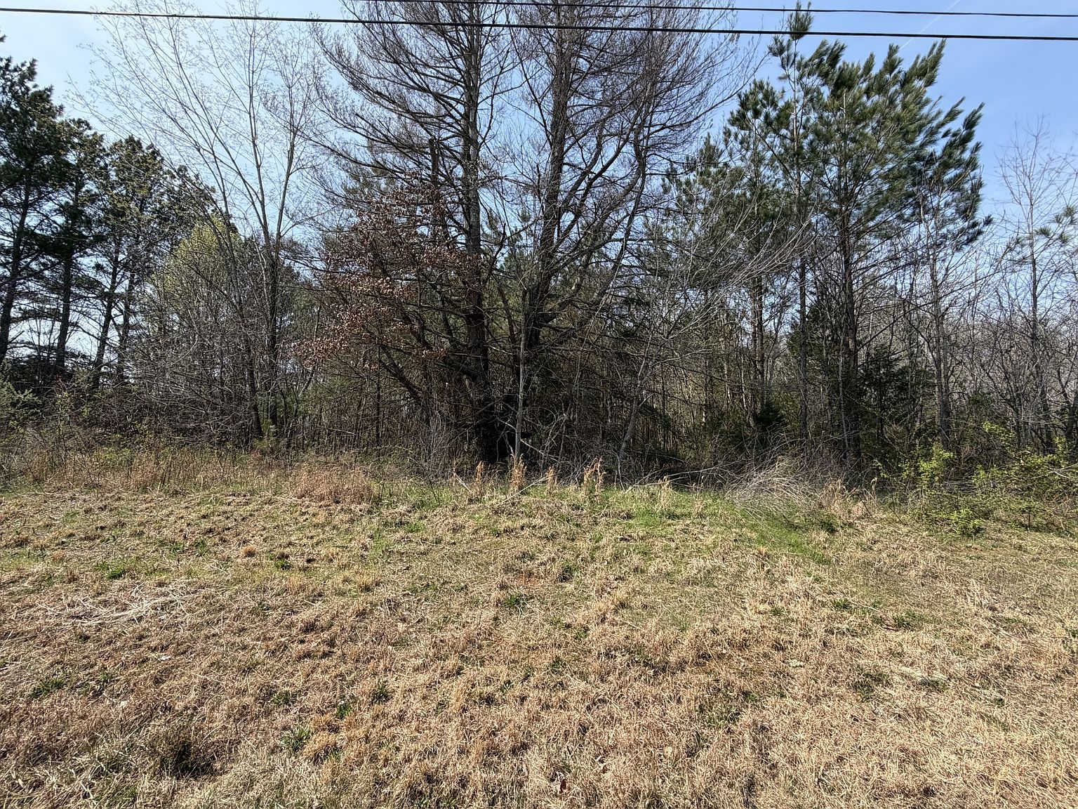 5106 Workman Rd Southside, TN 37171 - Thumbnail 3