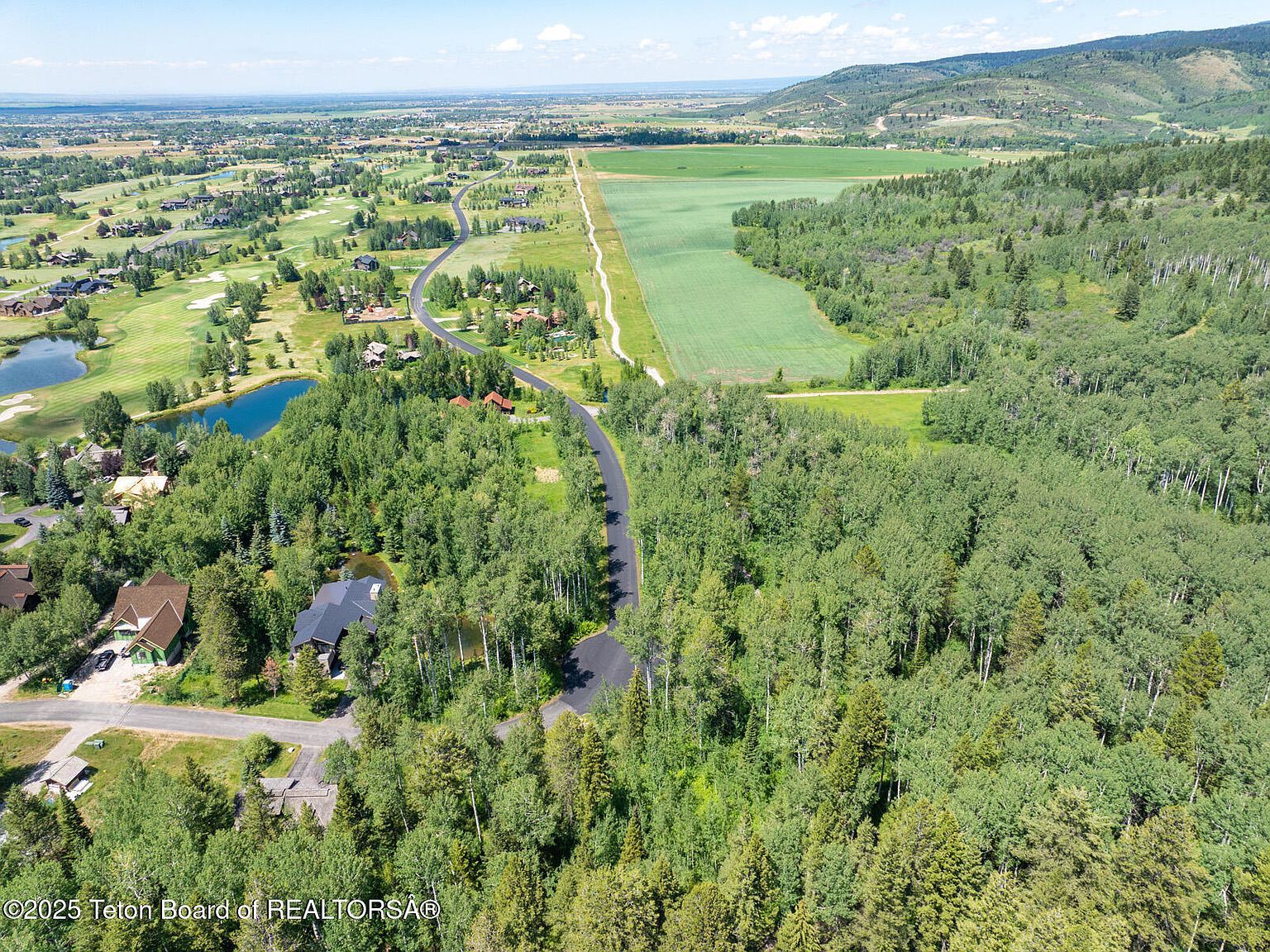 3 Blackfoot Trl Victor, ID 83455 - Thumbnail 3