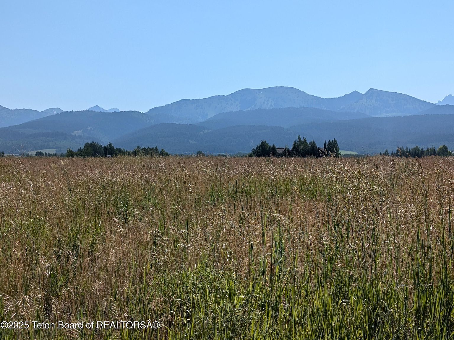 2350 Snow Crest Ranch Dr Driggs, ID 83422 - Thumbnail 3