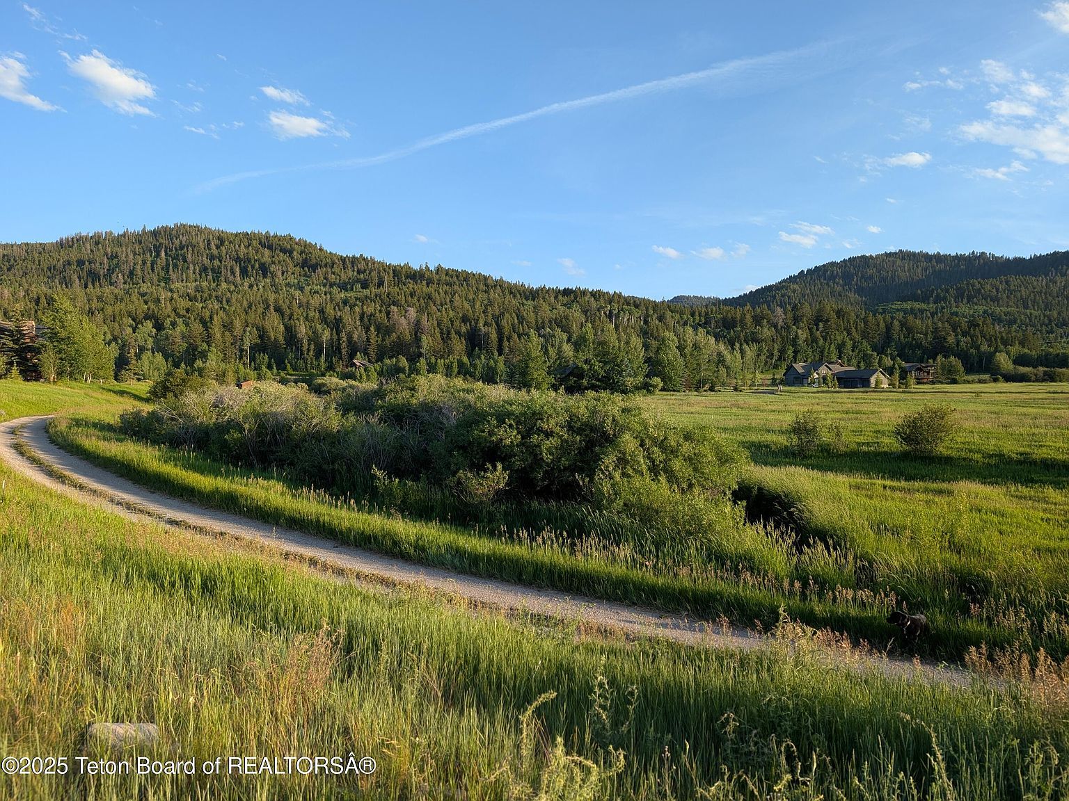 57 Warm Creek Ln Victor, ID 83455 - Thumbnail 3