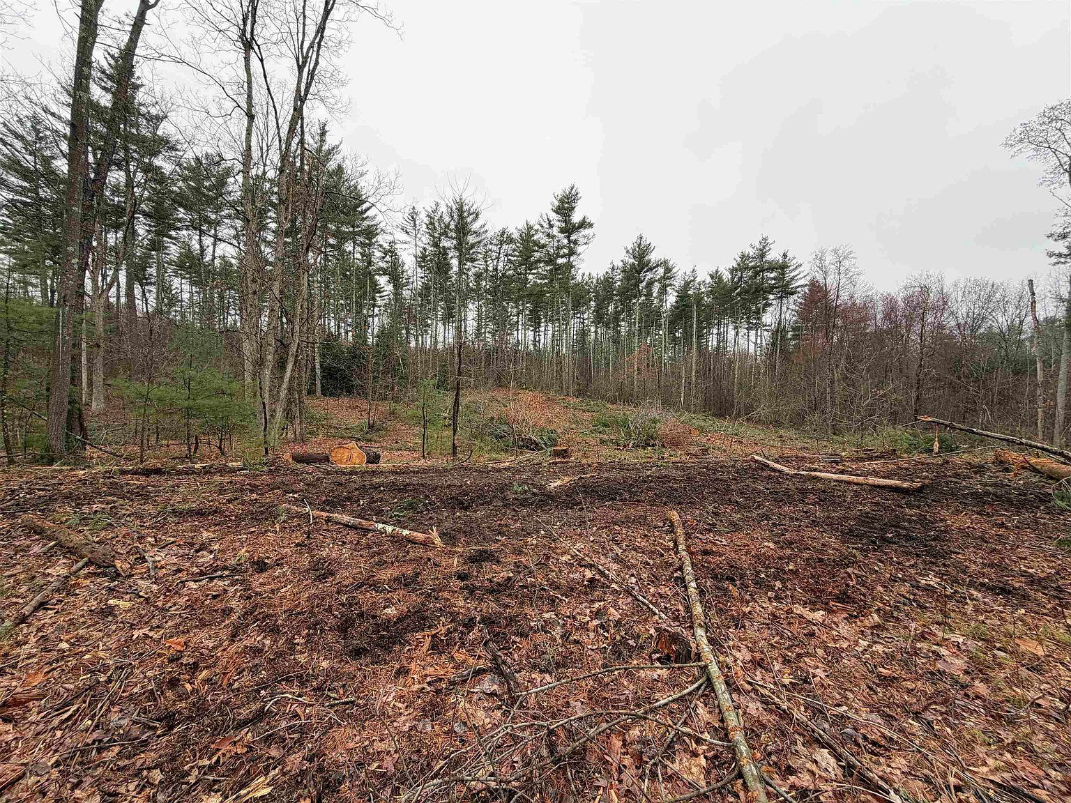 46-52-3 Witches Spring Rd Hollis, NH 03049 - Thumbnail 3