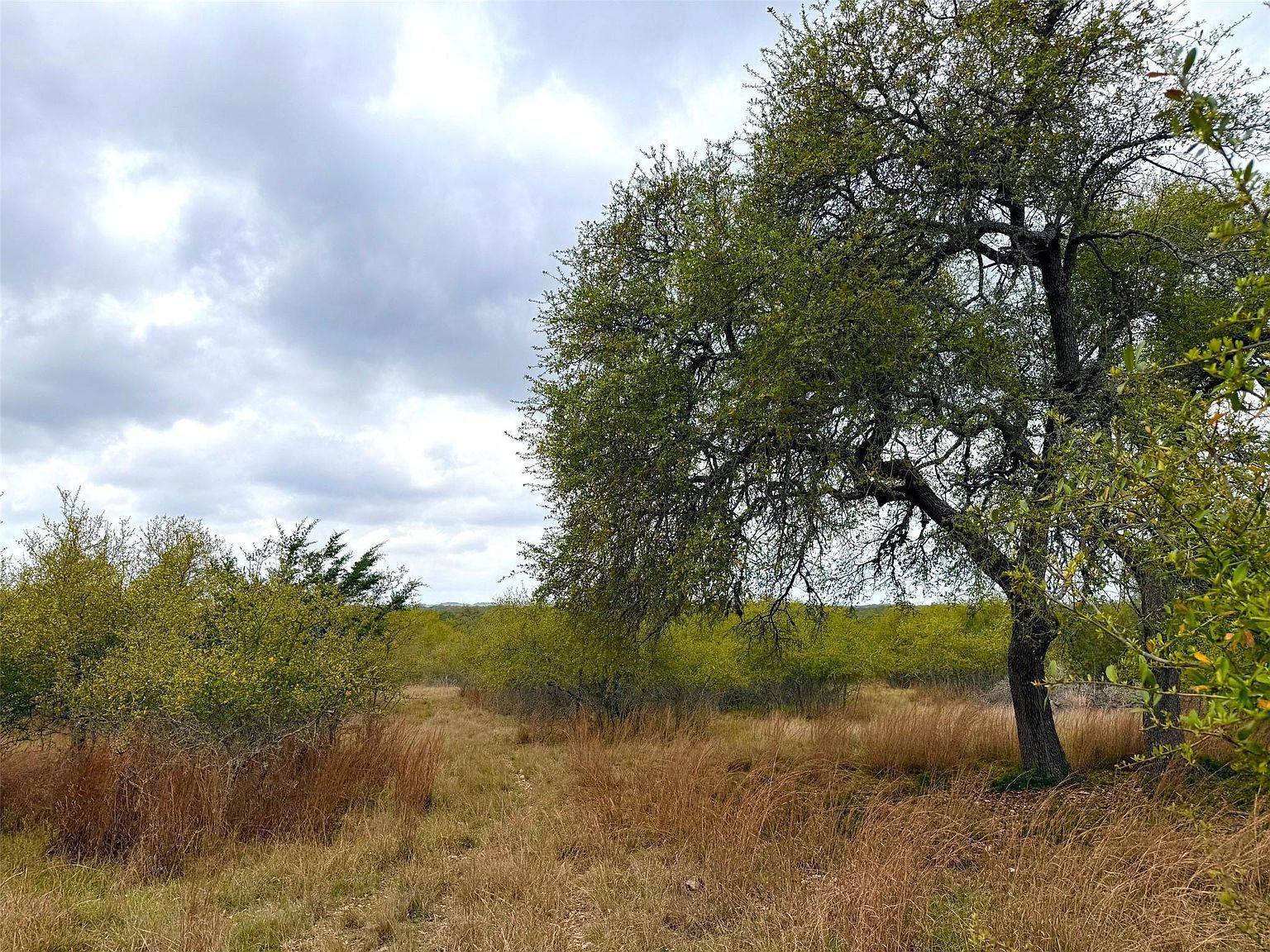 103 Ira Long Blanco, TX 78606 - Thumbnail 3