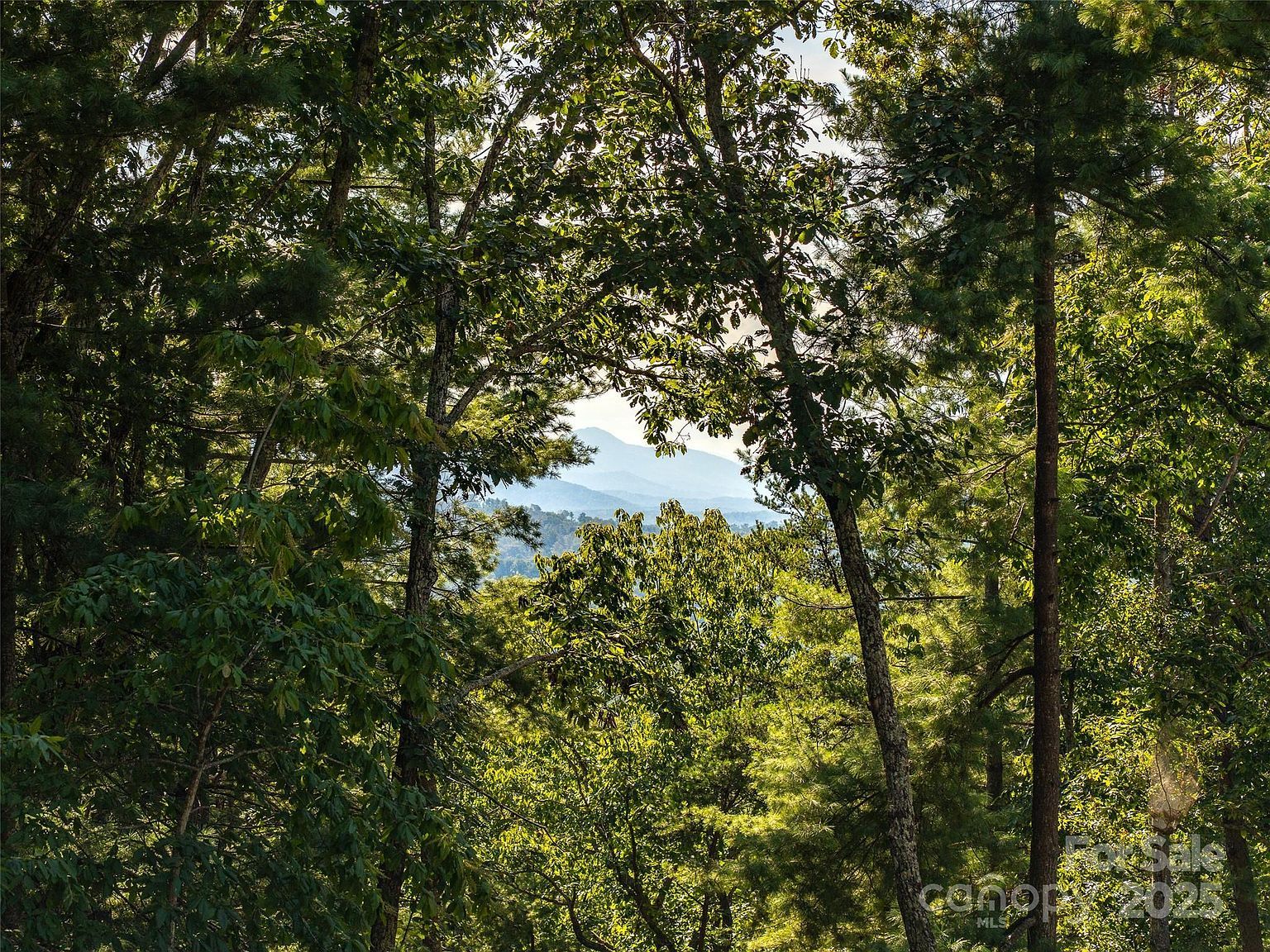 99999 Avondale Rd Asheville, NC 28803 - Thumbnail 3