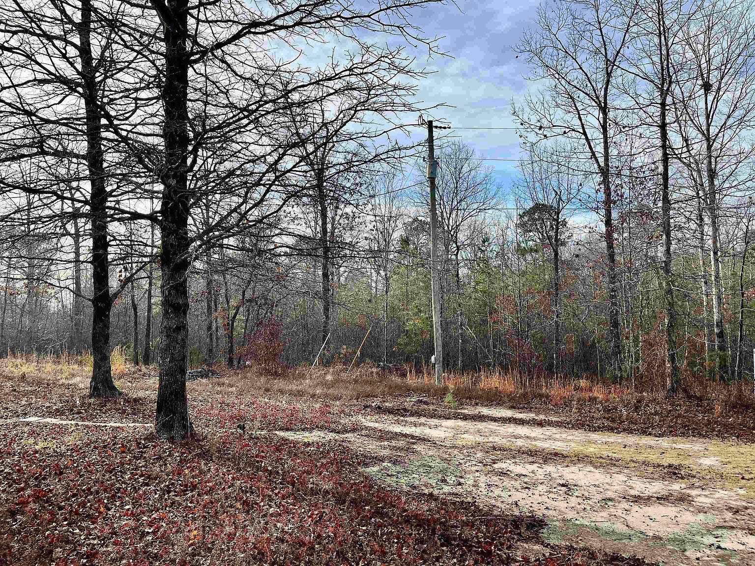 6800B Corrigan Rd Mabelvale, AR 72103 - Thumbnail 3