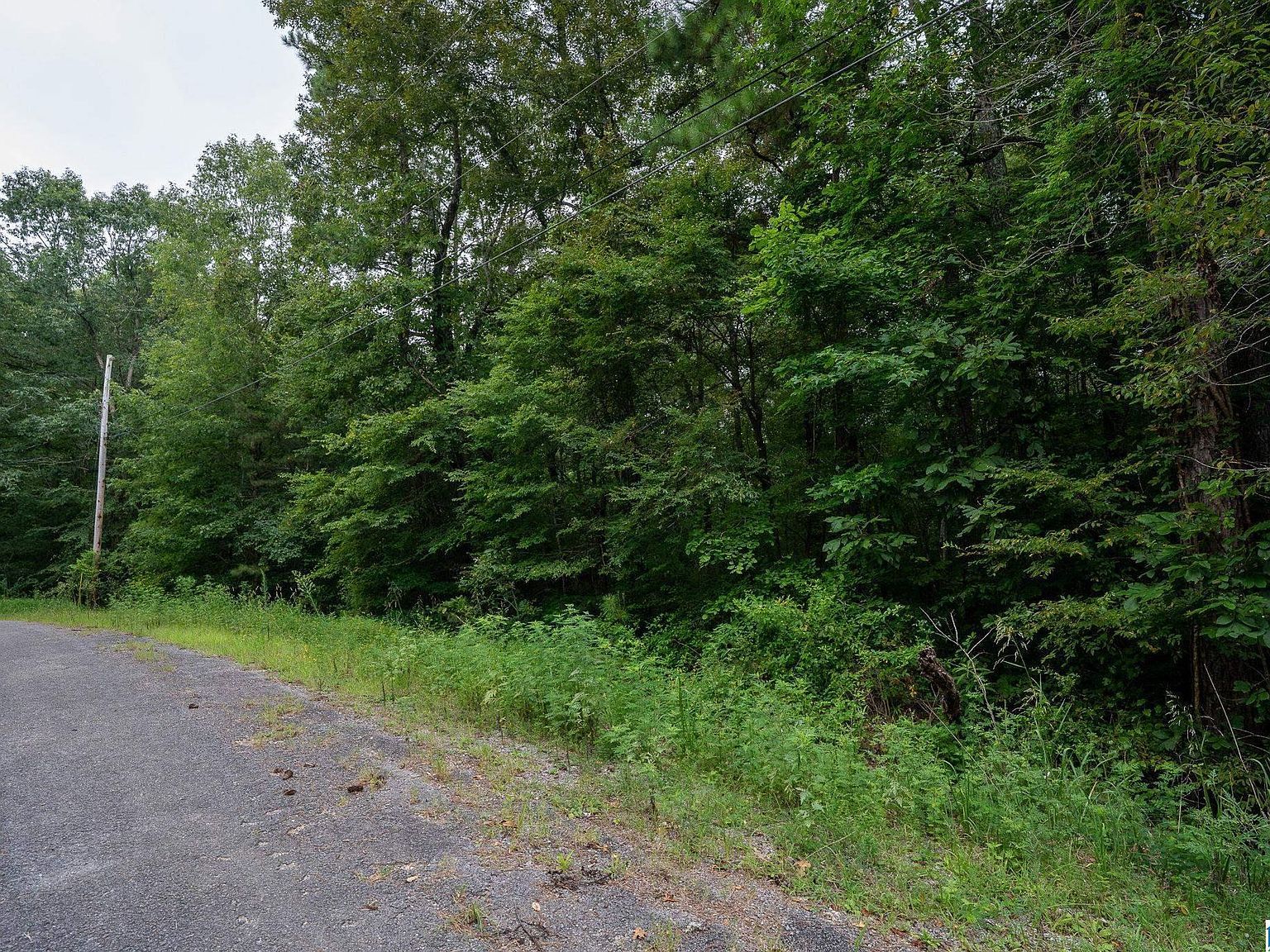 0 Penny Ln #1 Odenville, AL 35120 - Thumbnail 3