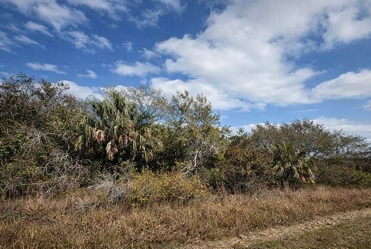 15997 NW 270th St Okeechobee, FL 34972 - Thumbnail 3