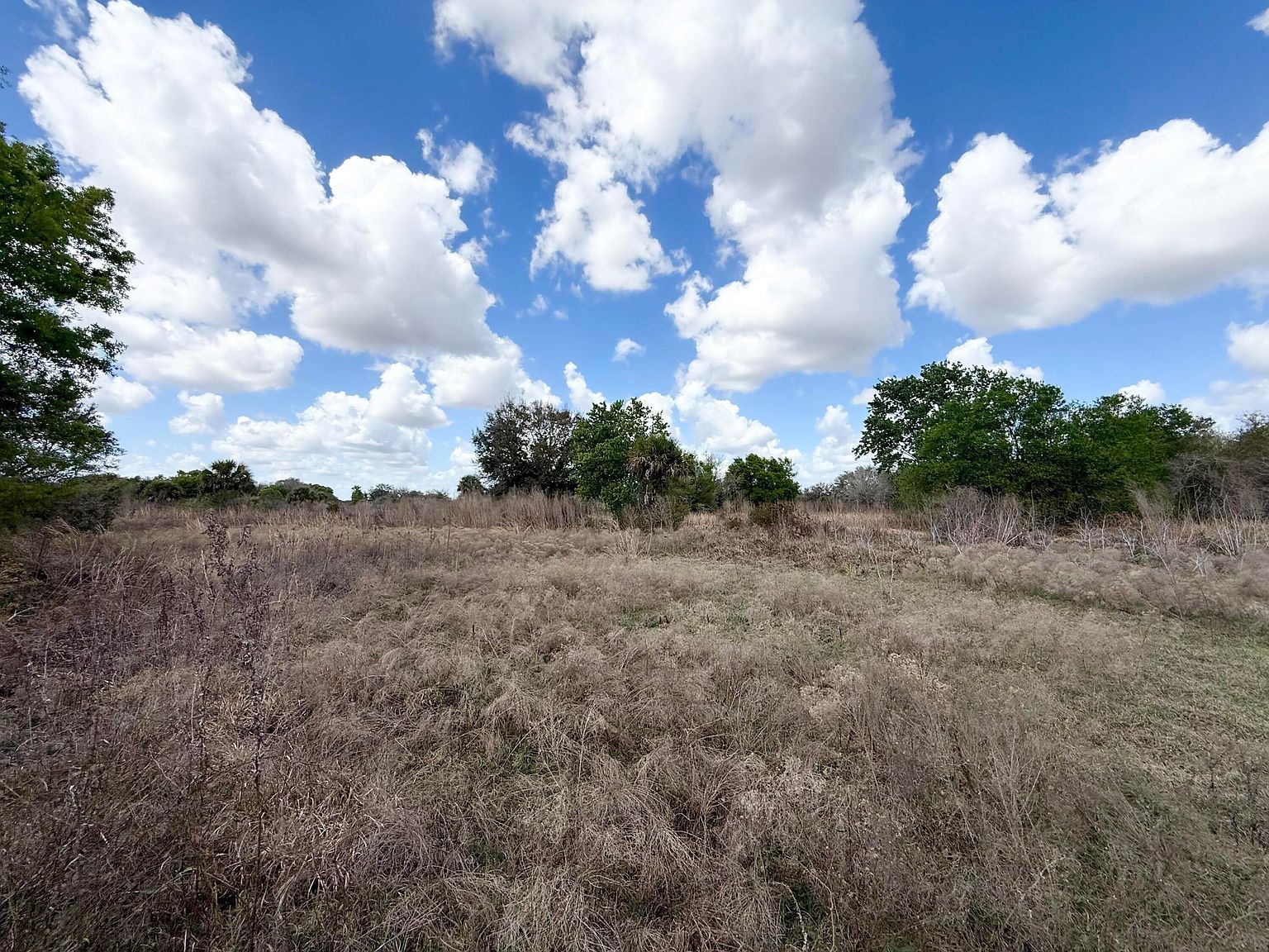 19571 262nd St Okeechobee, FL 34972 - Thumbnail 3