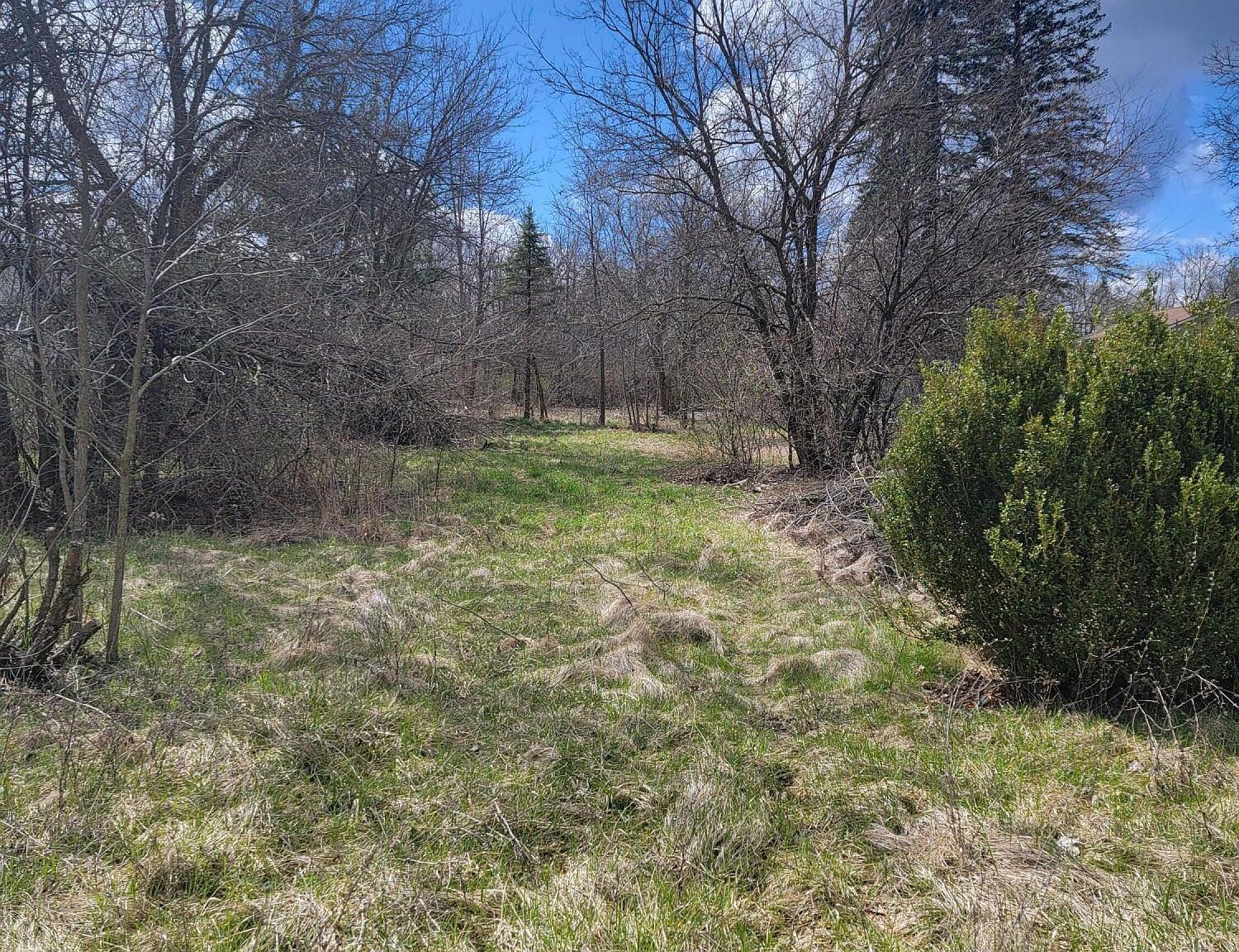 50305 Bog Rd Belleville, MI 48111 | Land/Lot