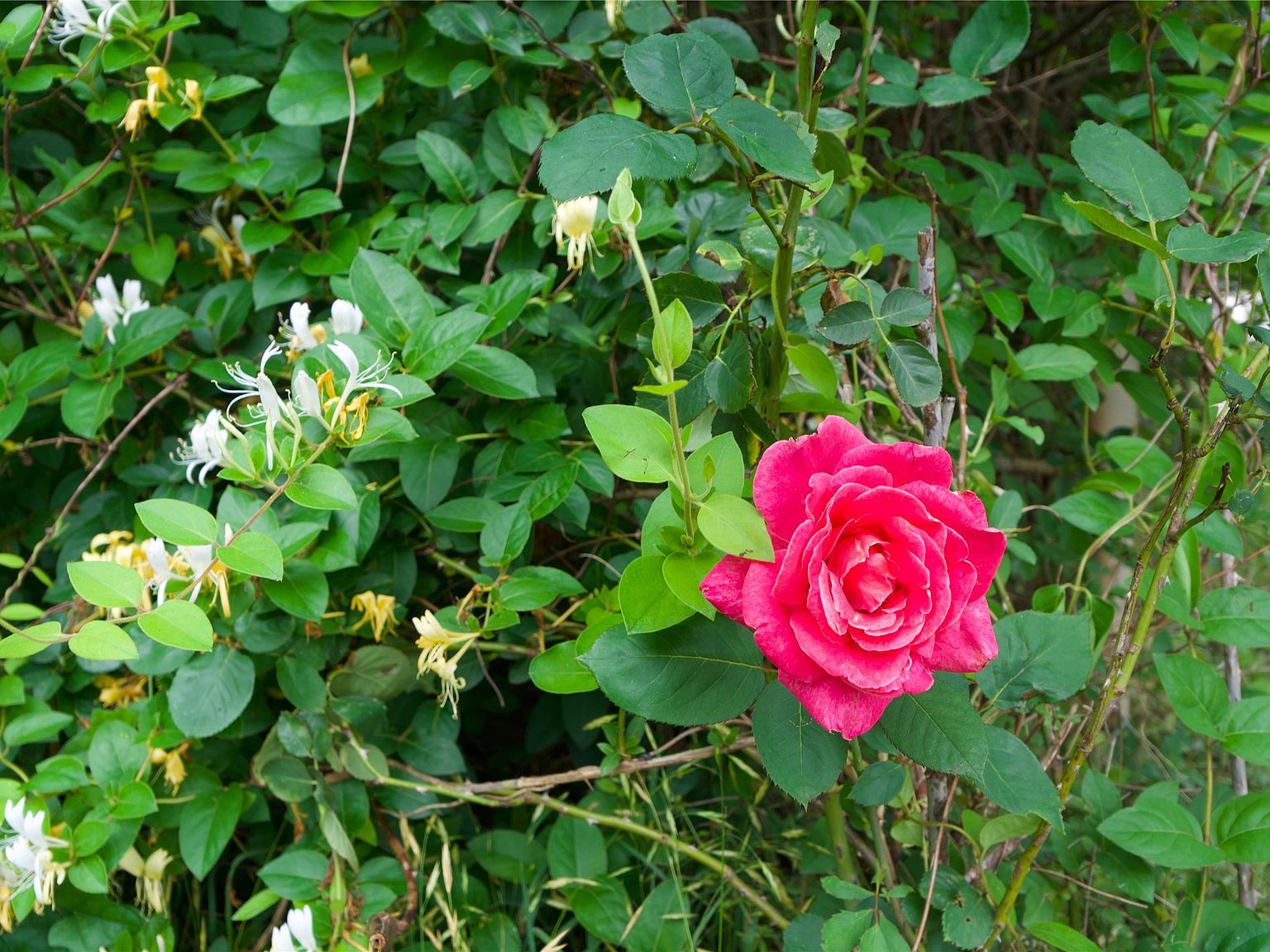 167 Northridge Dr Gainesville, TX 76240 - Thumbnail 3